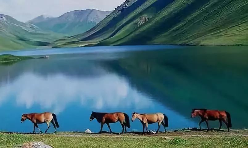 无症状者最新探索,自然美景的心灵之旅