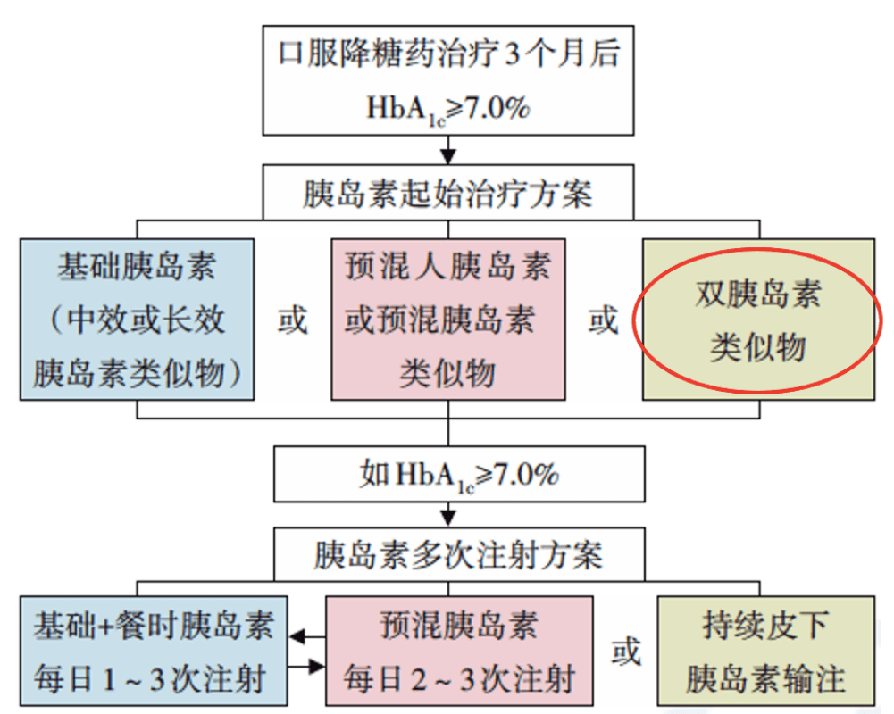 靳保芳最新技能学习指南，从初学者到进阶用户的详细步骤指南