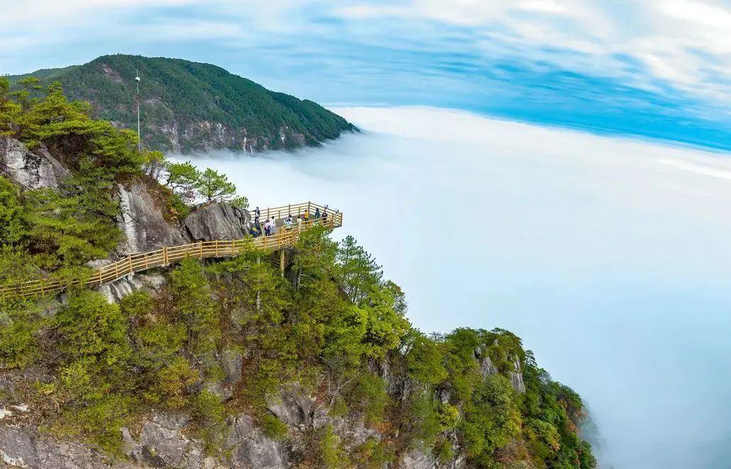 枫随风最新艺术作品集，独特艺术盛宴的视觉盛宴！