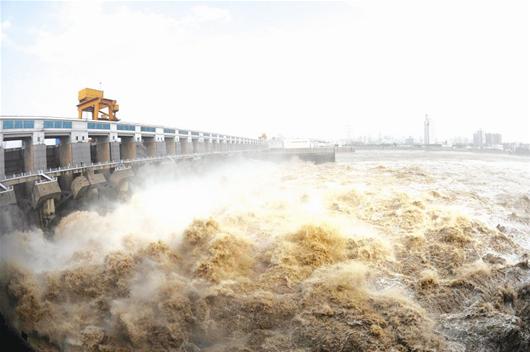 最新芜湖长江汛情下的日常生活观察
