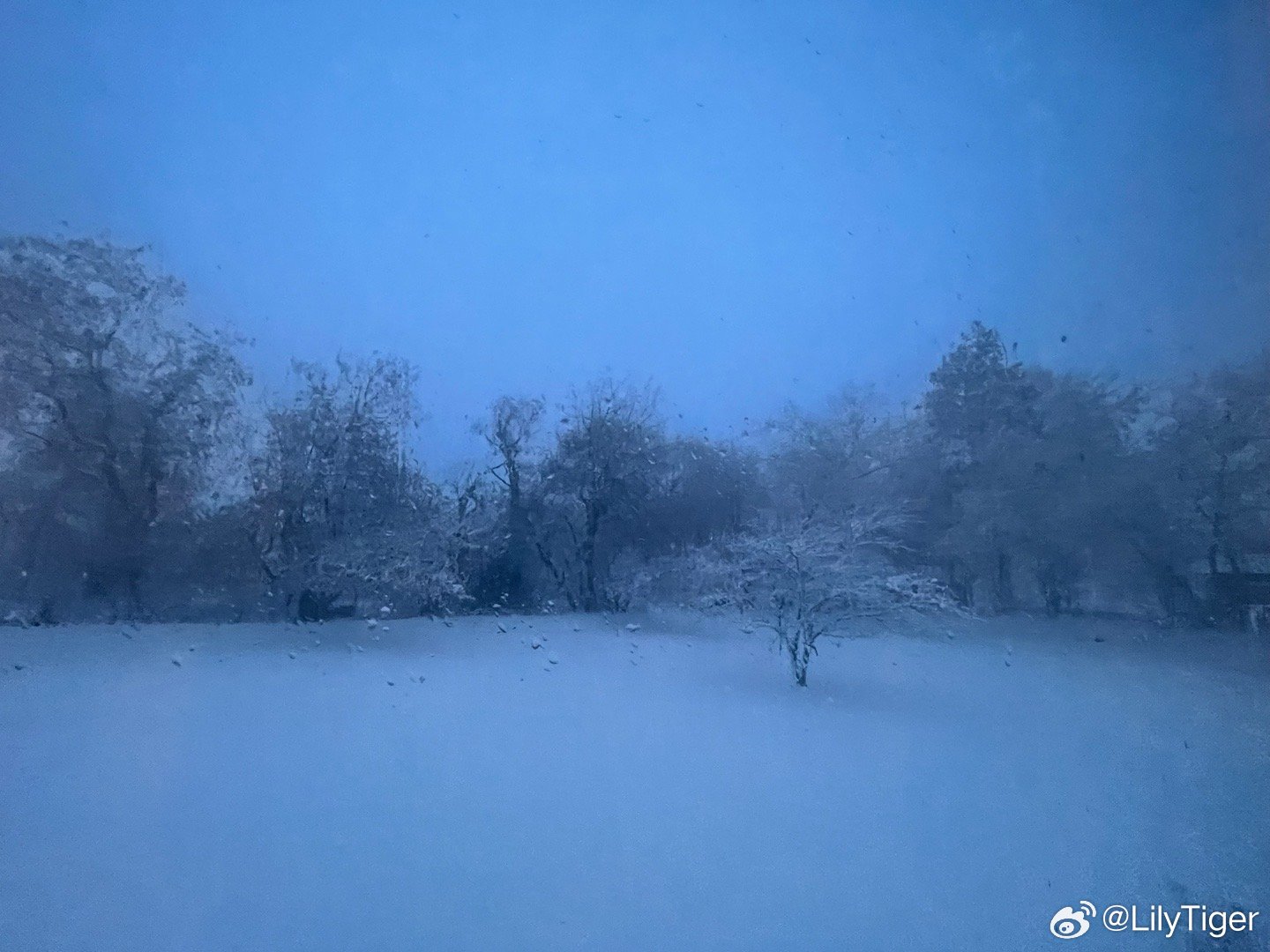 暴风雪预警