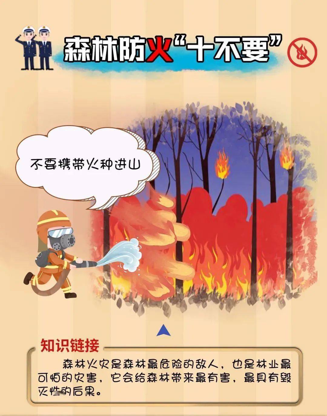 友情的森林与温馨的日常，最新章节汇总