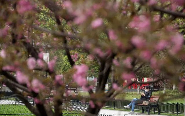 湖北封城之际,心灵之旅静待花开