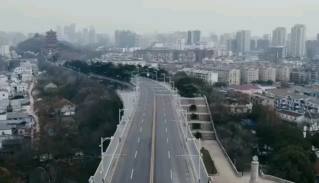 湖北封城之际,心灵之旅静待花开