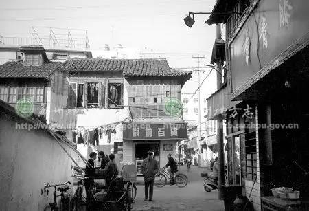 泉州最新路况与巷弄美食探秘之旅