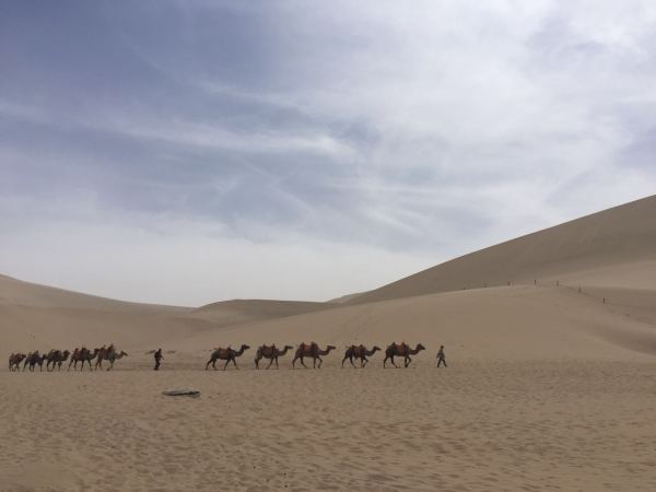 最新探探解封,自然美景探险之旅,寻找内心平静之旅