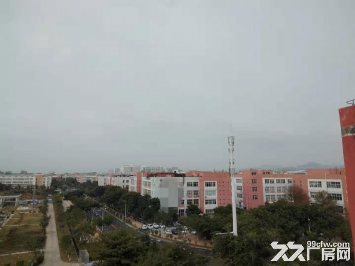 翔安最新动态，巷弄深处的独特风味