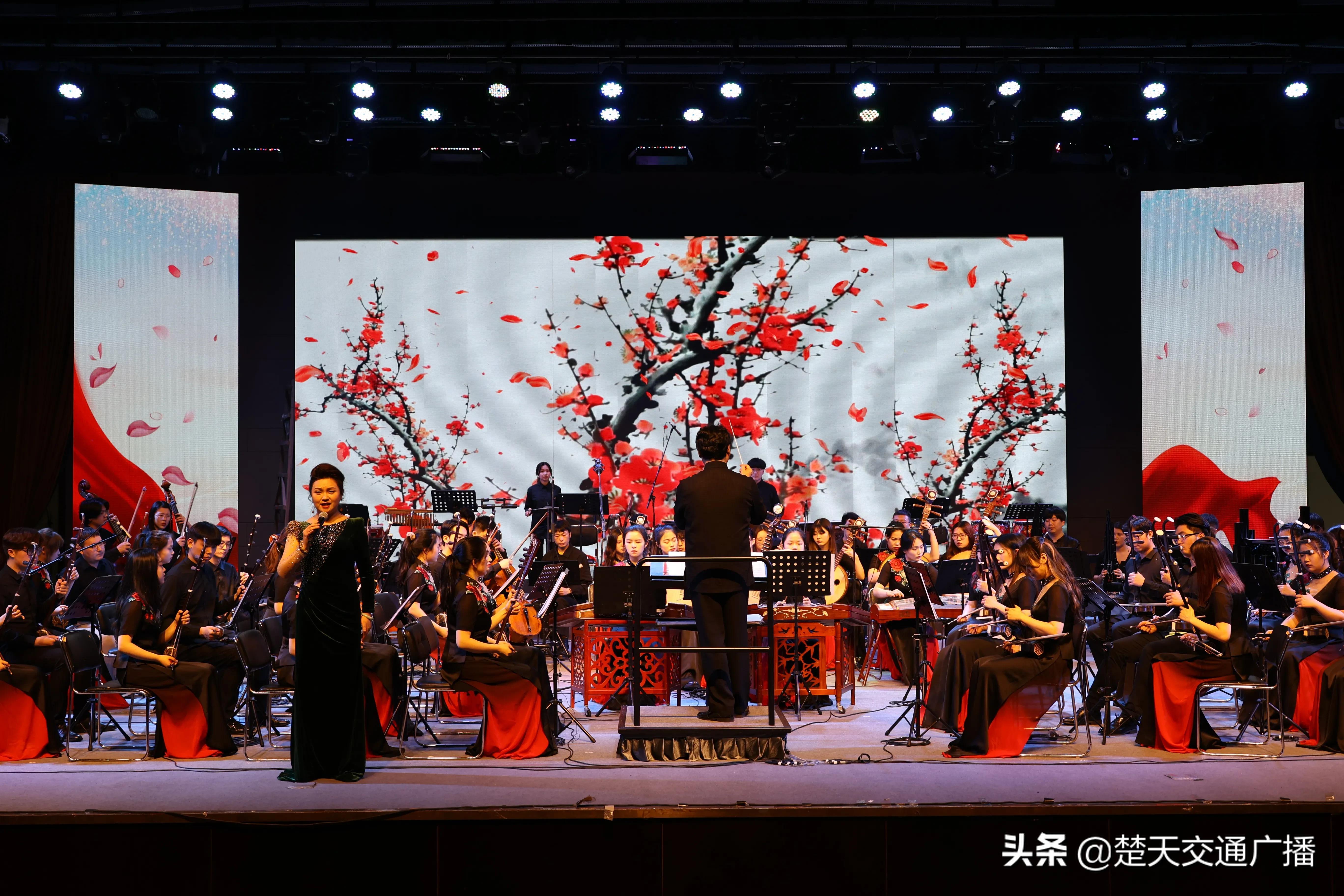 最新山歌书，独特音乐魅力一览