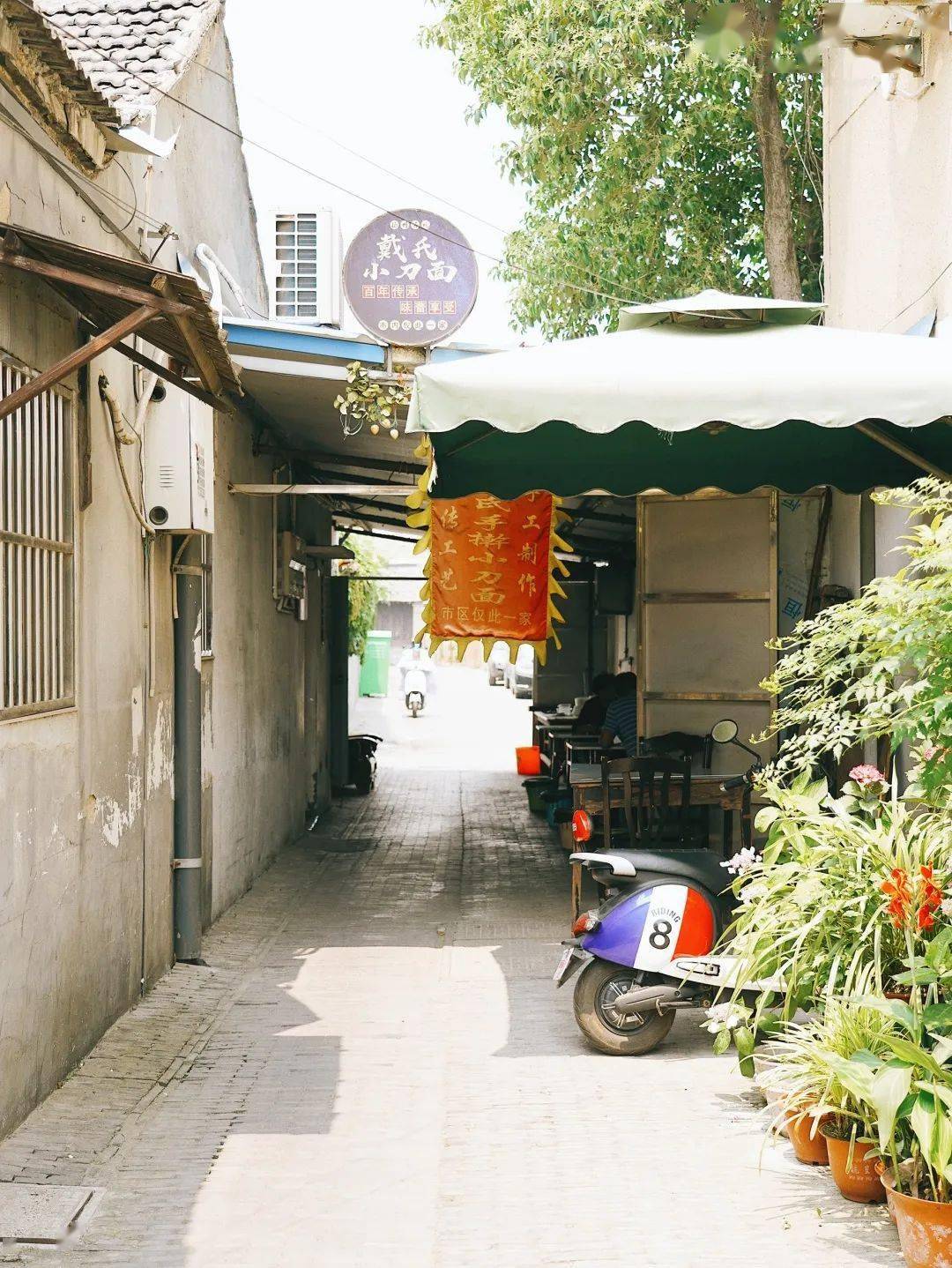 扬州新冠疫情最新动态,巷弄美食探秘,独特风味小店大揭秘