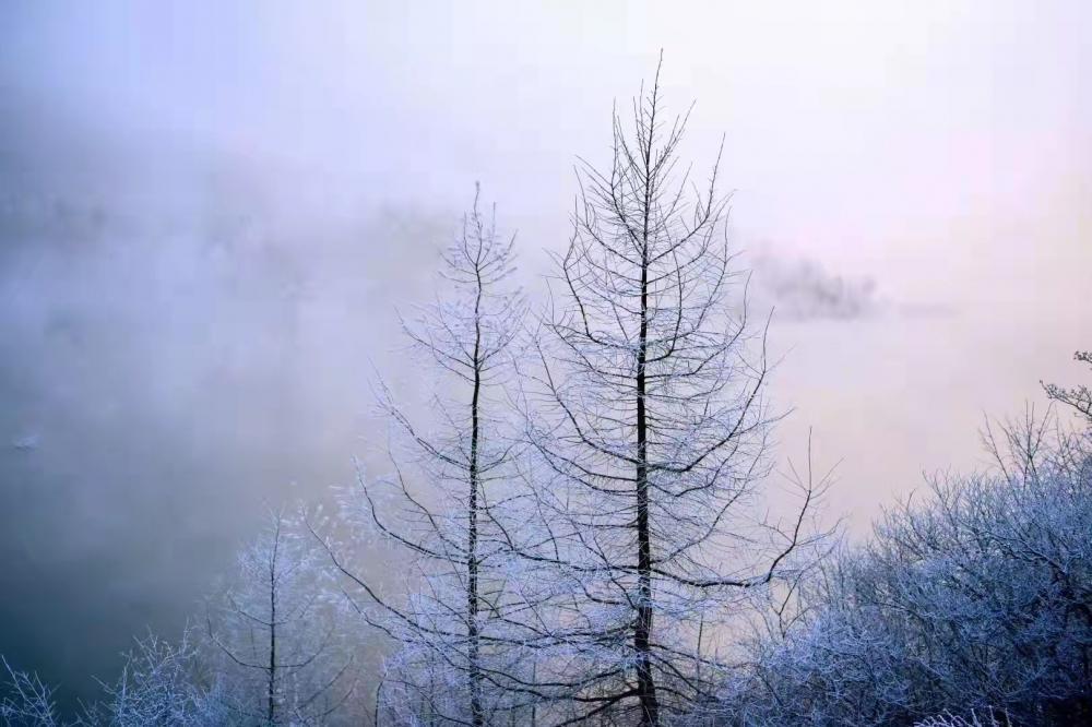 巫溪高铁最新进展、影响及未来展望