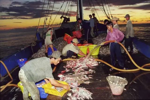 香港最新疫情源头揭秘,奇妙故事浮出水面