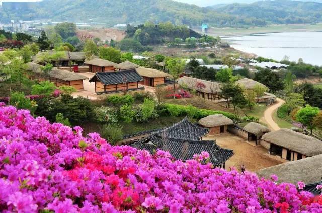 新疆最新辟谣与科技新品亮相,体验未来生活的震撼!