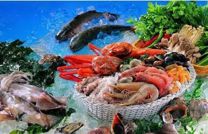 最新海鲜视频，一场深入人心的海洋盛宴探秘