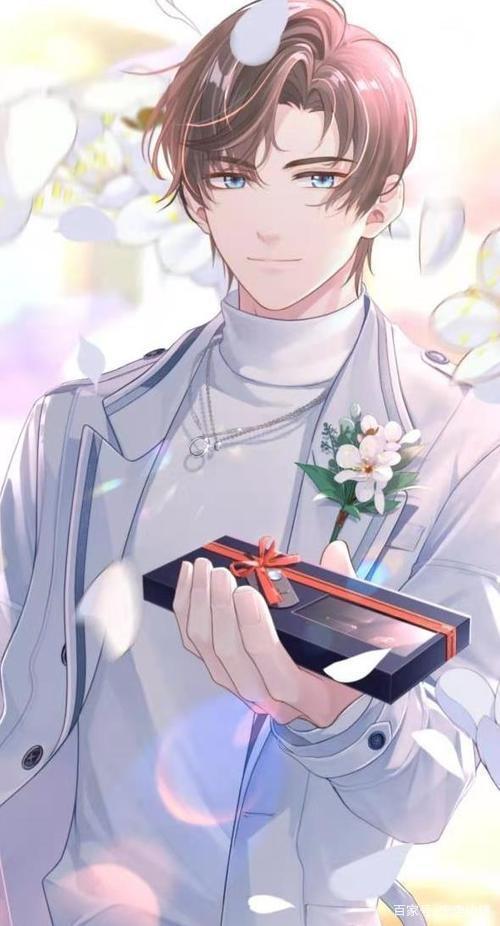 时光里的温馨日常,最新穿书剧探秘