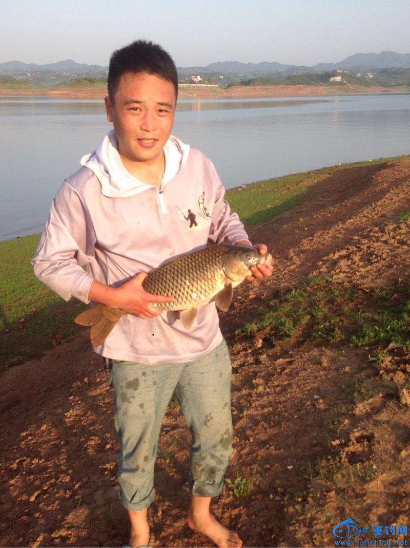 广安最新鱼情,广安最新鱼情,一网打尽快乐与陪伴