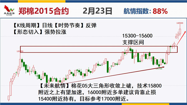 郑醇走势最新详解,最新动态与操作指南