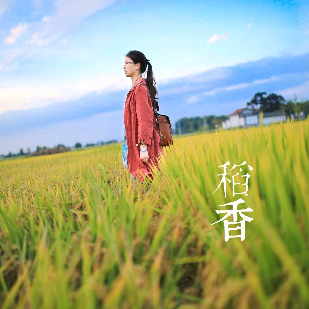 稻香最新版,超越传统还是忠实原作?