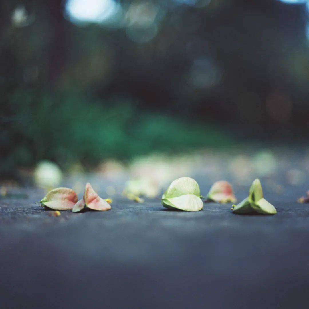 李淑勤最新日常,爱与陪伴的温馨时光记录