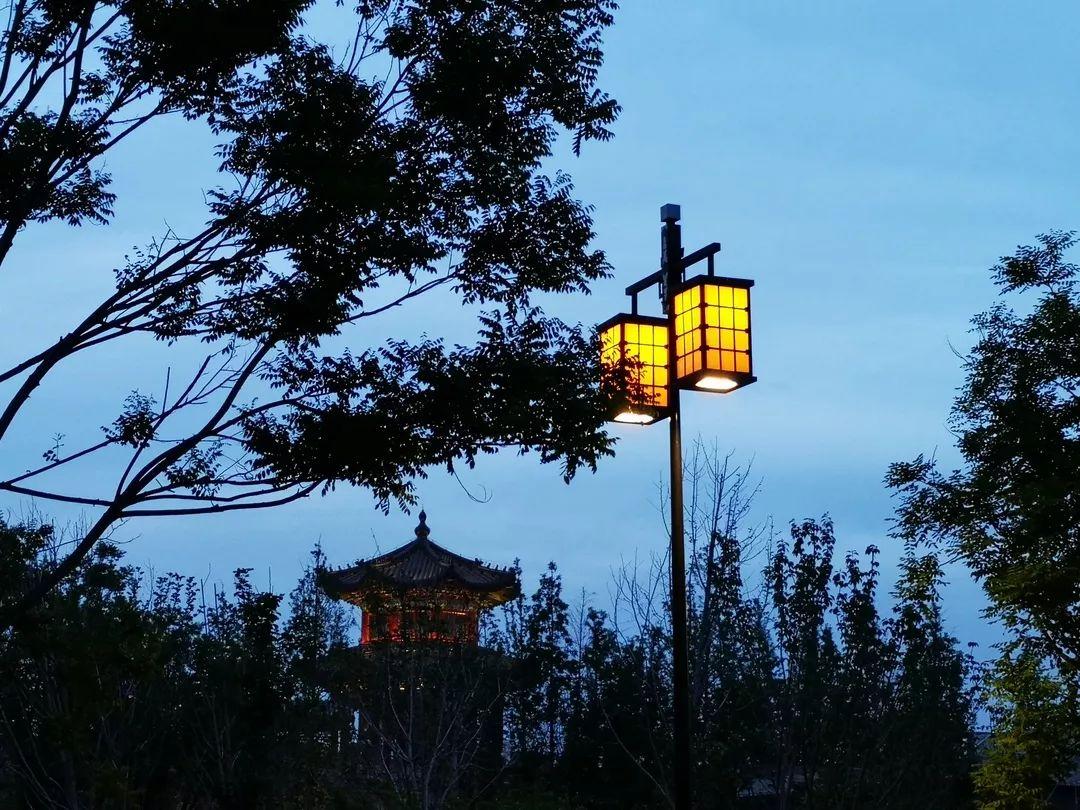 探宝之旅