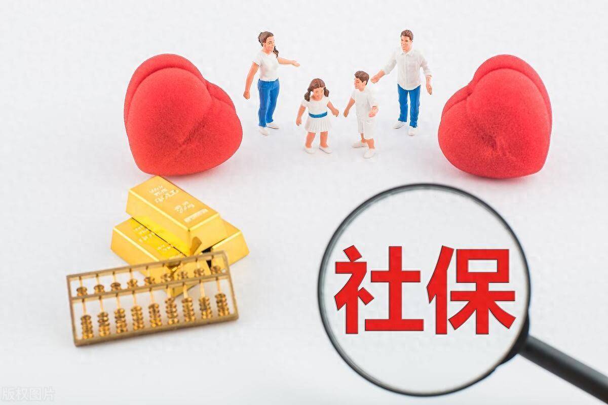 社保补交最新规定与巷弄深处的独特风味探索