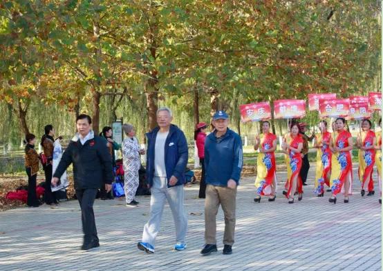 北京疫情下的自然探索之旅，寻求内心的宁静与平和