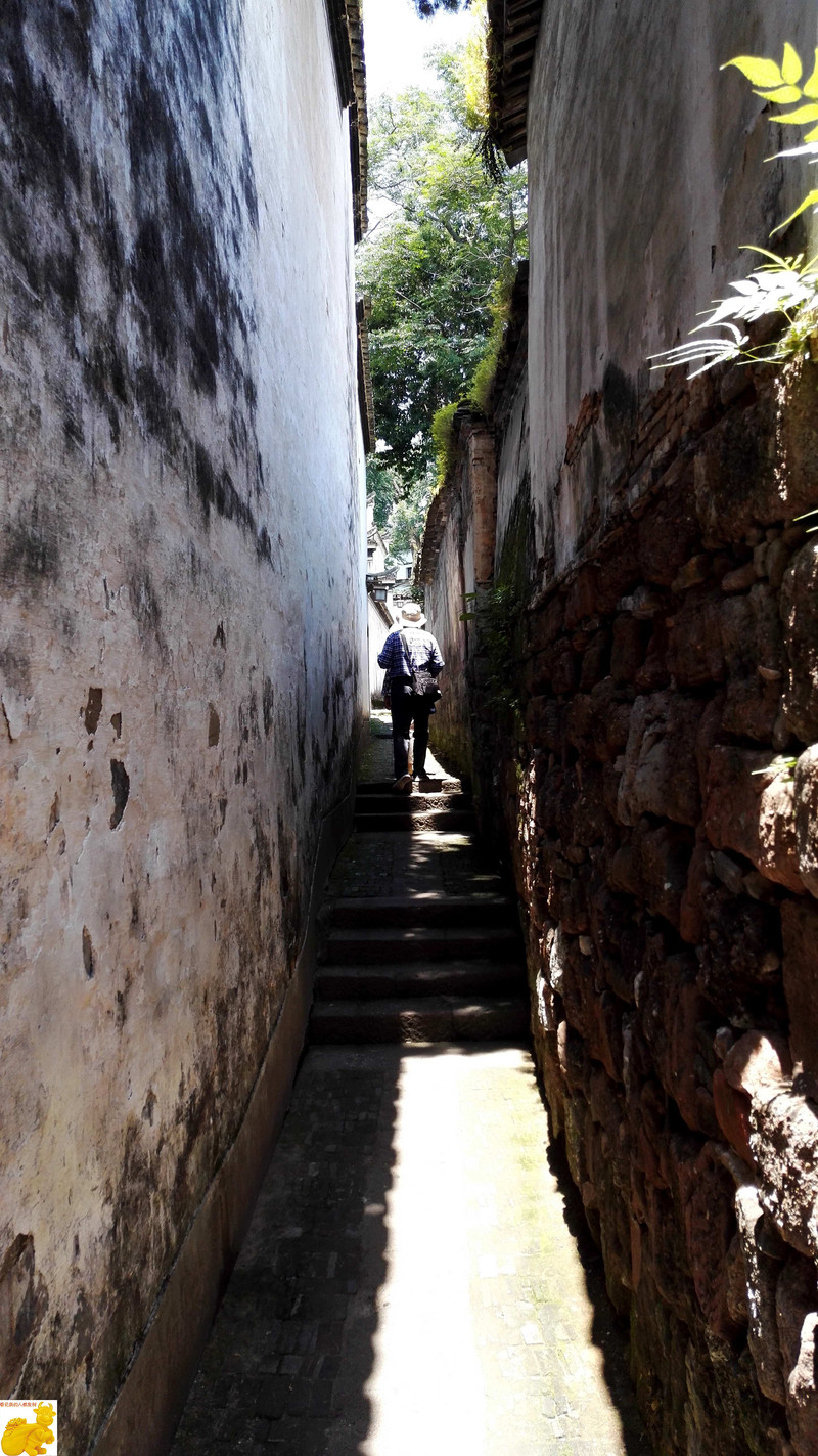 岩兔站最新特色,小巷隐藏宝藏,独特魅力小店探秘