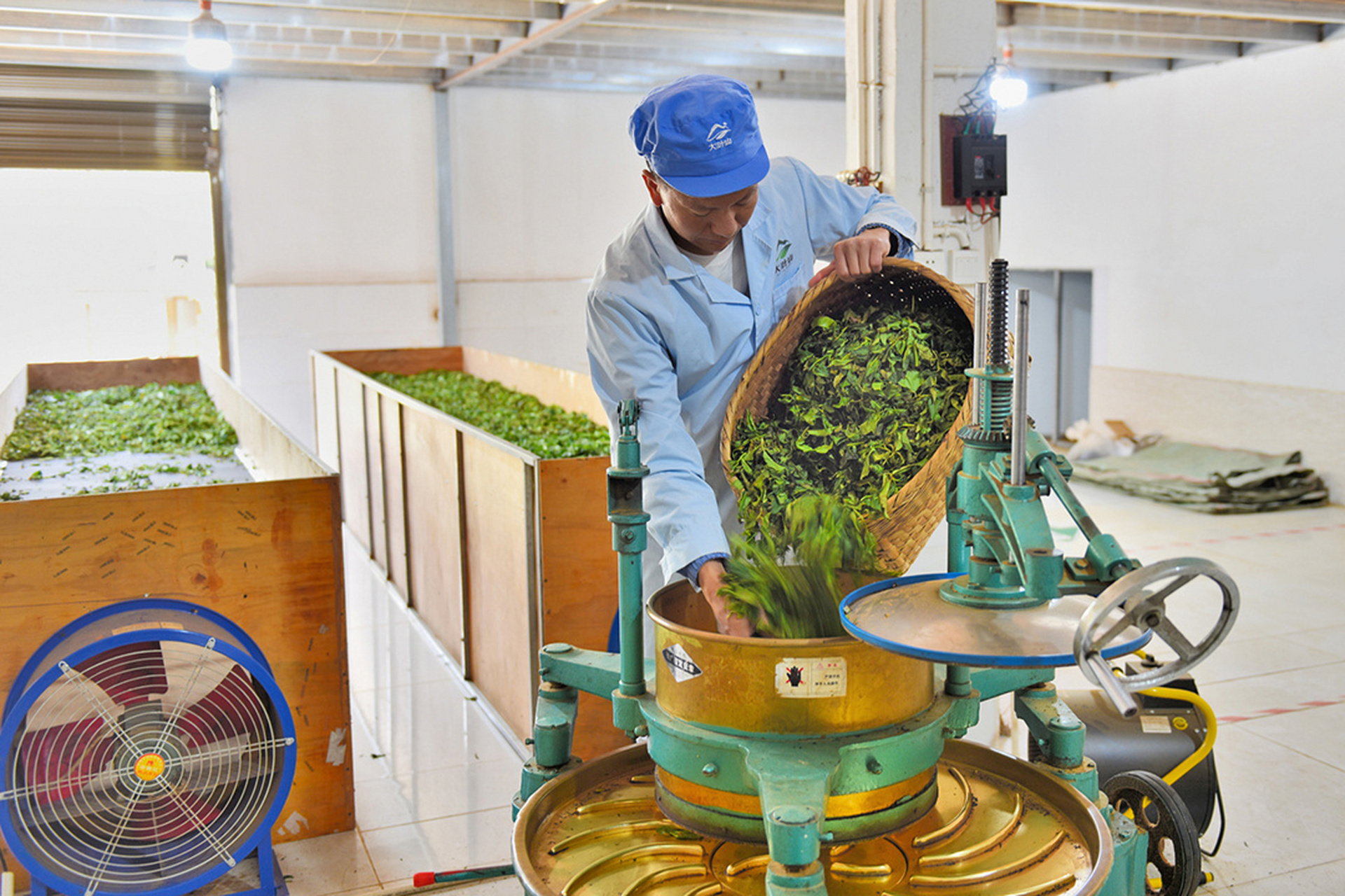 最新茶叶机械，变化中的学习，成就感的源泉与自信塑造者