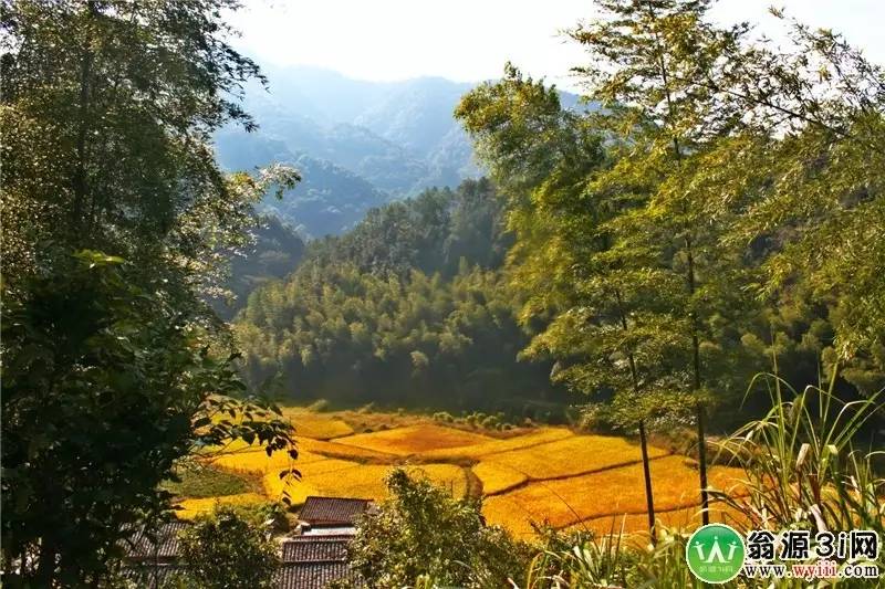 自然美景探索 第6页