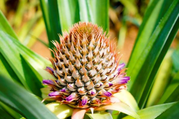 上海禾辉信息 第265页