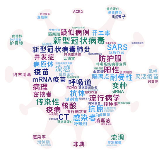 全球概览