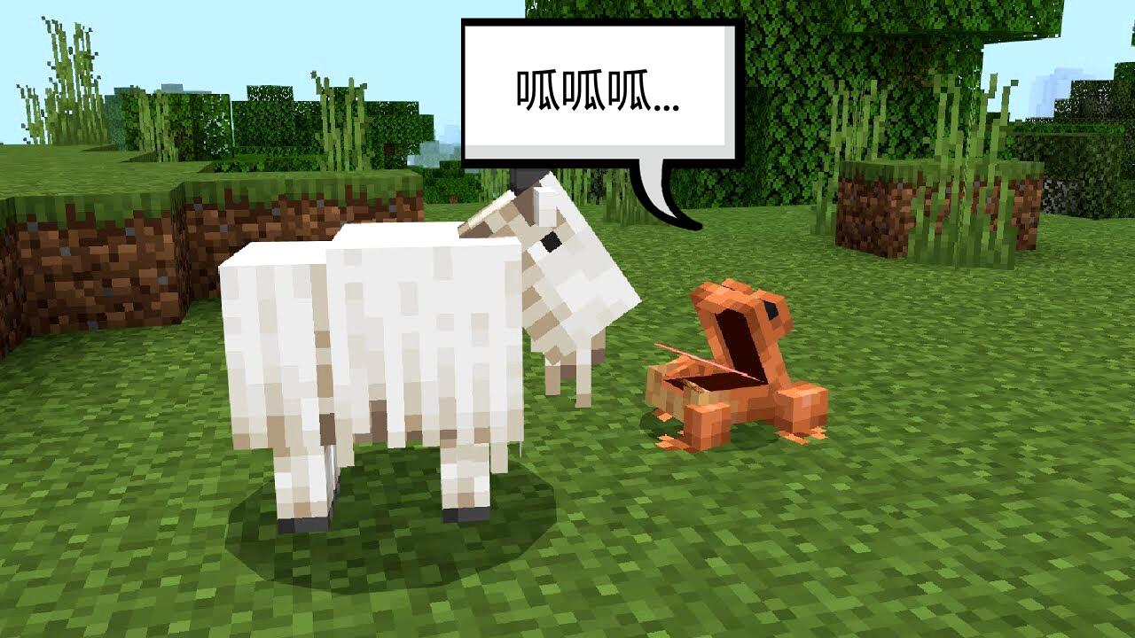 蝌蚪最新版全新特性解析及体验分享