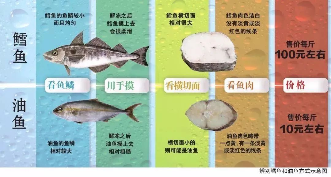 鳕鱼价格解析,一斤多少钱?