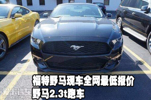 野马最新网址大揭秘，热门链接火热来袭🔥🚀