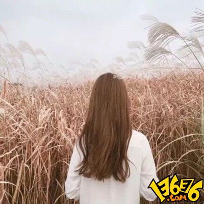 女性背影头像制作指南,2017最新流行趋势与制作步骤分享