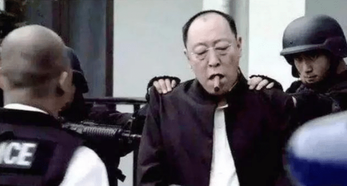 弗兰兹演员,演艺之路的璀璨之星闪耀之旅