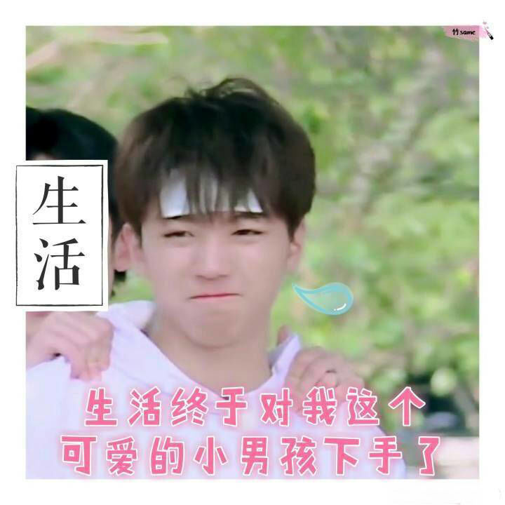 王俊凯最新表情包集结,日常趣事与友情纽带的美好瞬间!