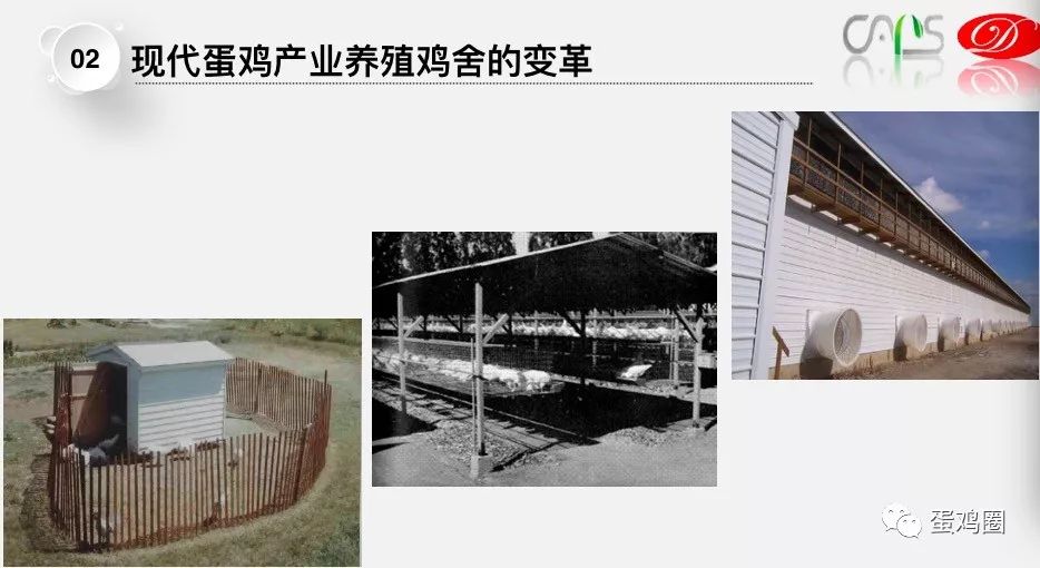 徐江新动态，引领未来发展趋势与变革的先锋力量