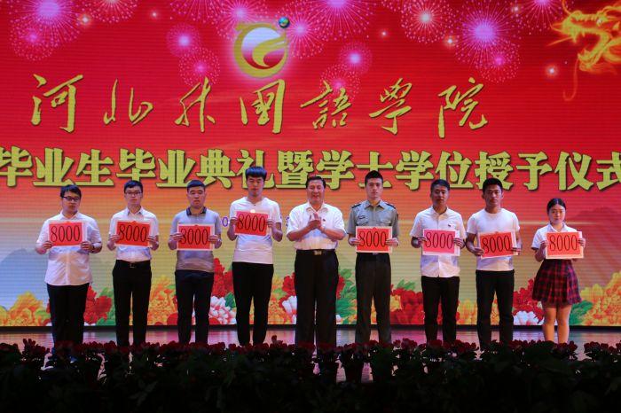 河北省电视台地址详解，从入门到目的地的步骤指南