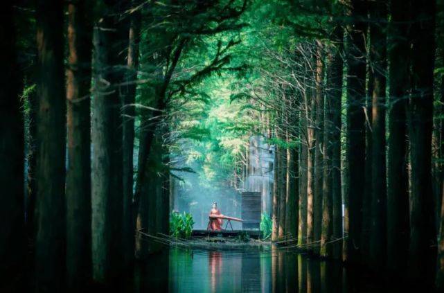 梦回电视剧，自然美景之旅，探寻内心宁静与平和的旅程