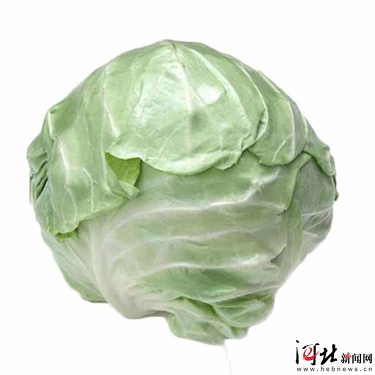 甘蓝价格信息解读