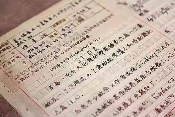 我心目中的明星，一段温馨有趣的日常故事之旅