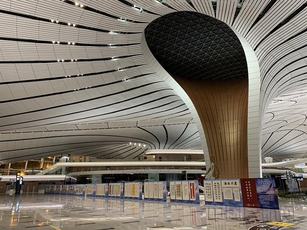 区域发展动态