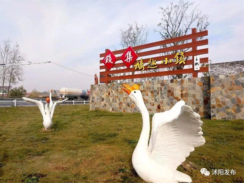 沭阳公园新动态，拥抱自然，探寻内心宁静之道
