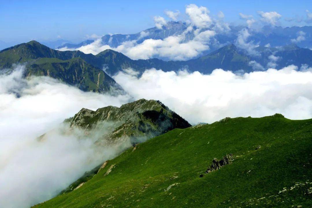 青松建化历史行情，与自然美景的浪漫之旅