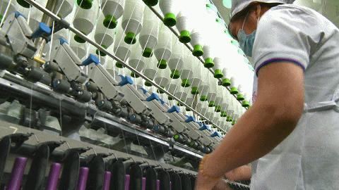 最新纺织招聘，启航你的职业未来🌟