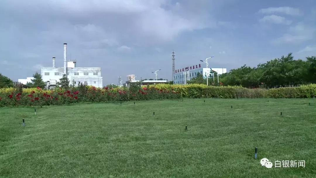 白银有色股票深度解析，千股千评揭秘