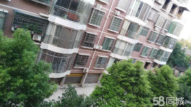 禾辉云文化科技 第197页