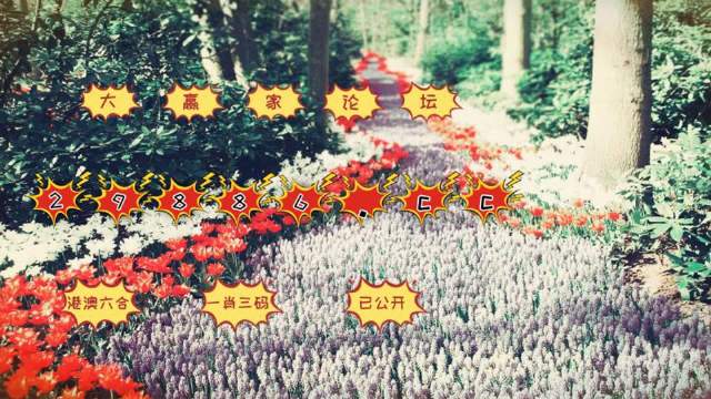 一肖一码100-准资料,目前现象解析描述_智能版57.612