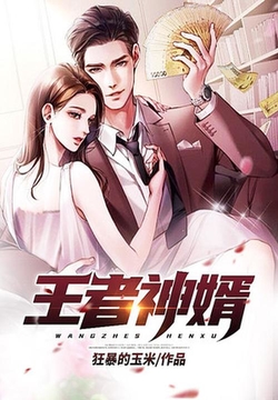 王者神婿新篇引领