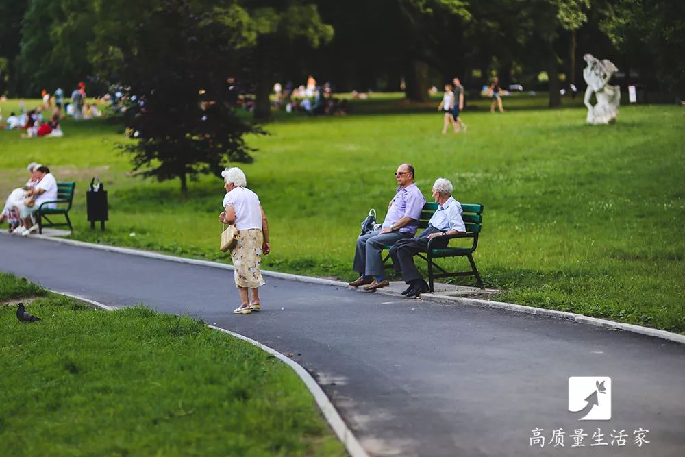 退休金动态资讯